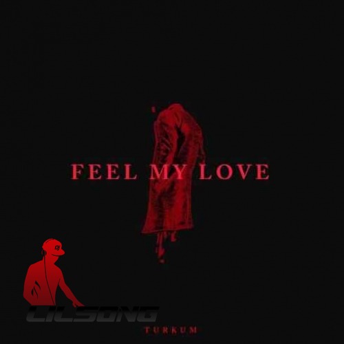 Turkum - Feel My Love